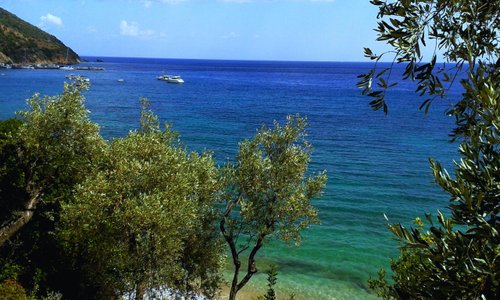 Mikro beach