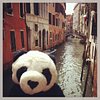 MyTravelingPanda