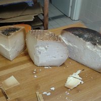 Il pecorino!!