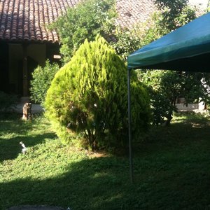 getlstd_property_photo