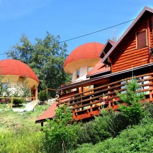 The Log House with the Mushroom - apartments in the background