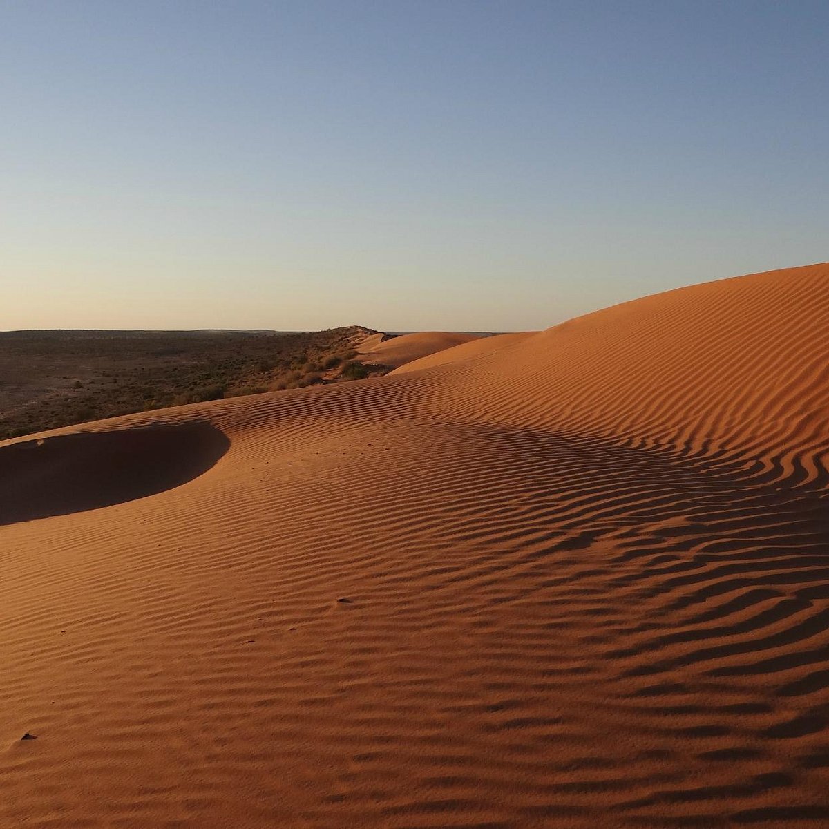 Desert Edge Tours (Birdsville) - All You Need to Know BEFORE You Go
