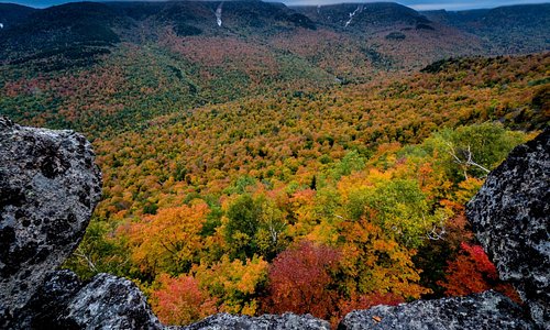 Fall Colors in the Johns Brook Valley