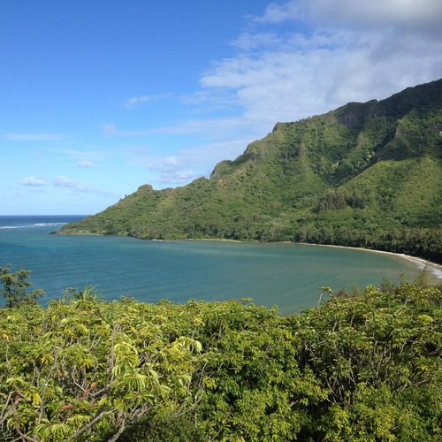 THE 10 BEST Oahu Nature and Wildlife Areas (with Photos)