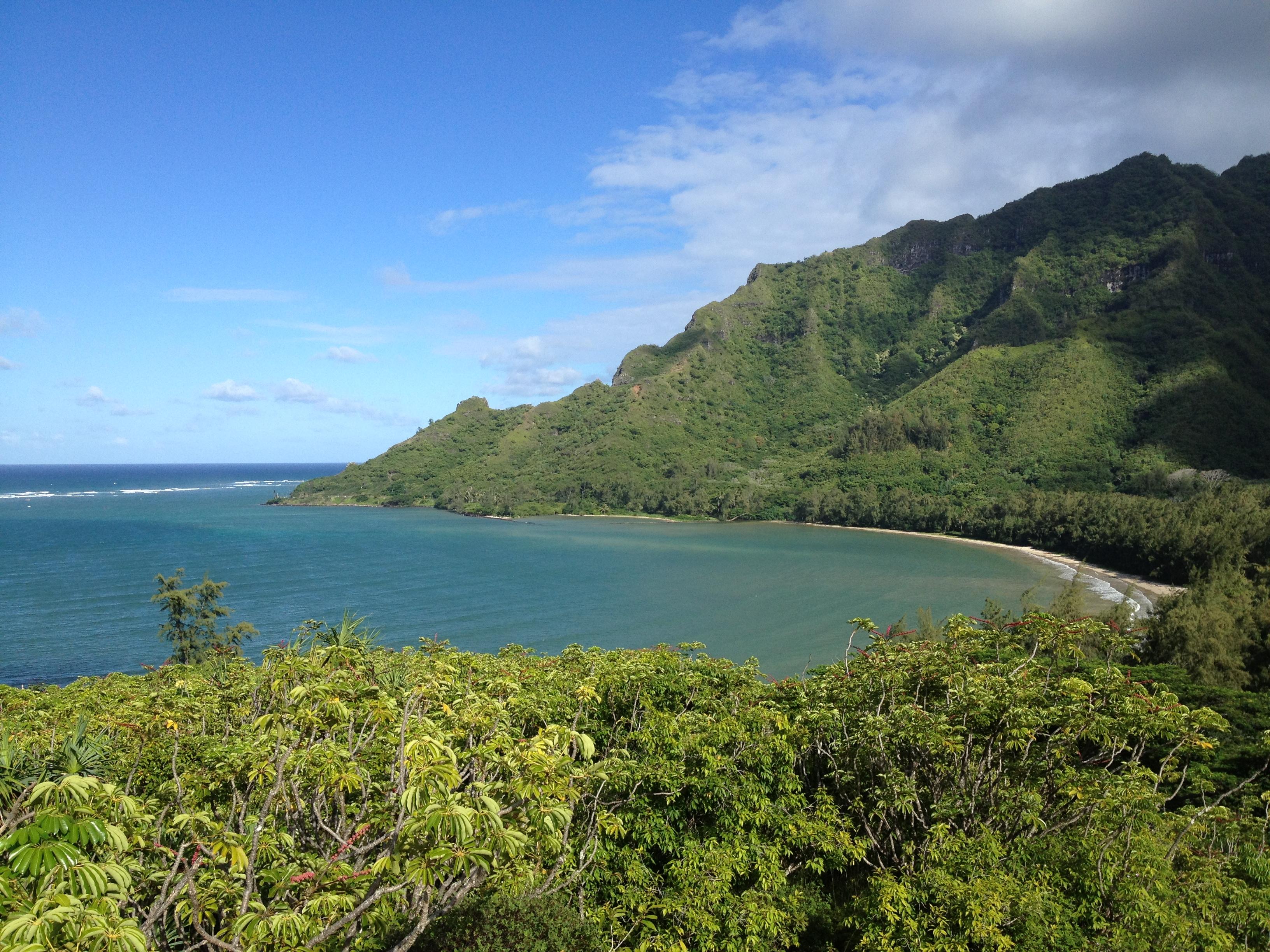 THE 10 BEST Oahu Nature and Wildlife Areas (with Photos)