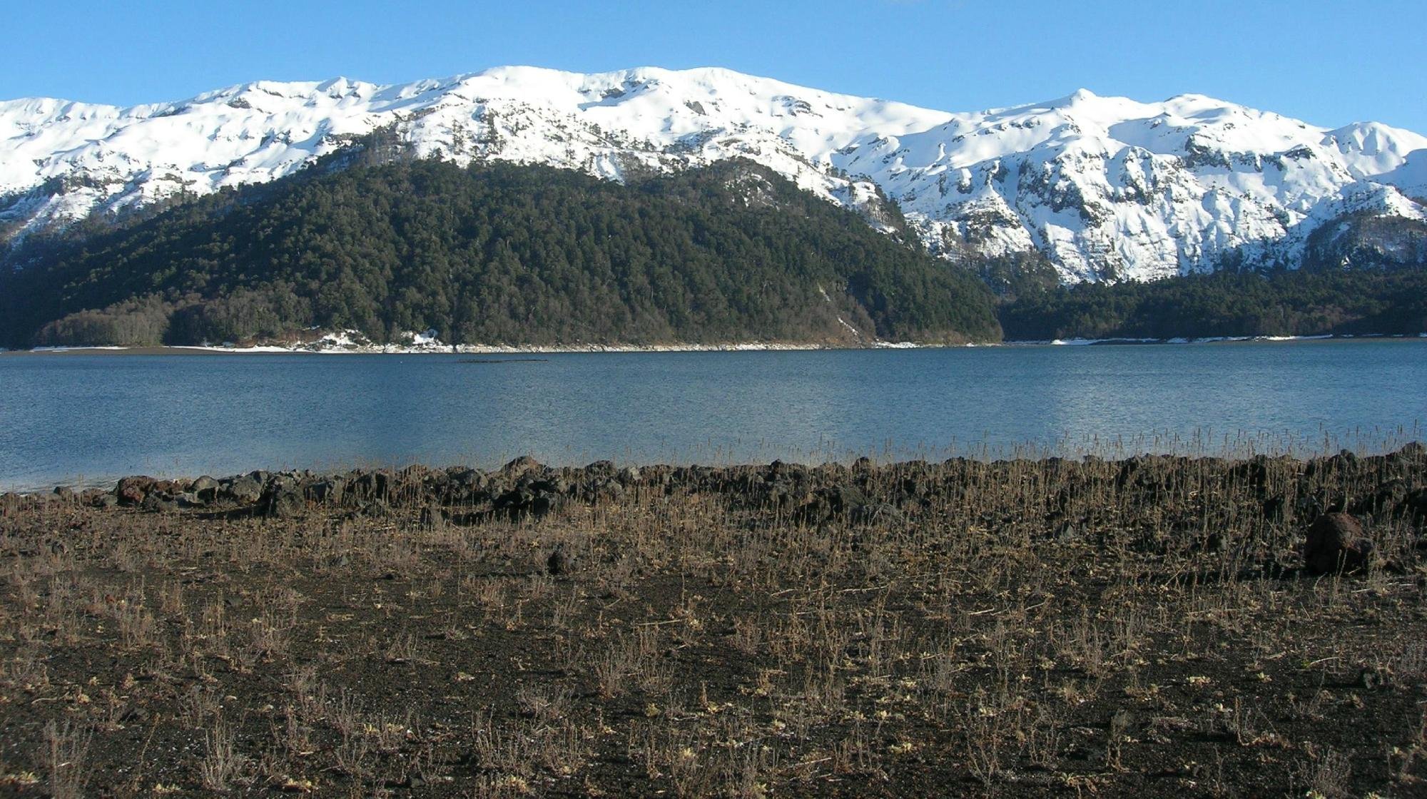Lodge Conguillio by null