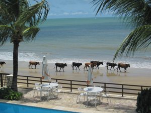Piscina e praia