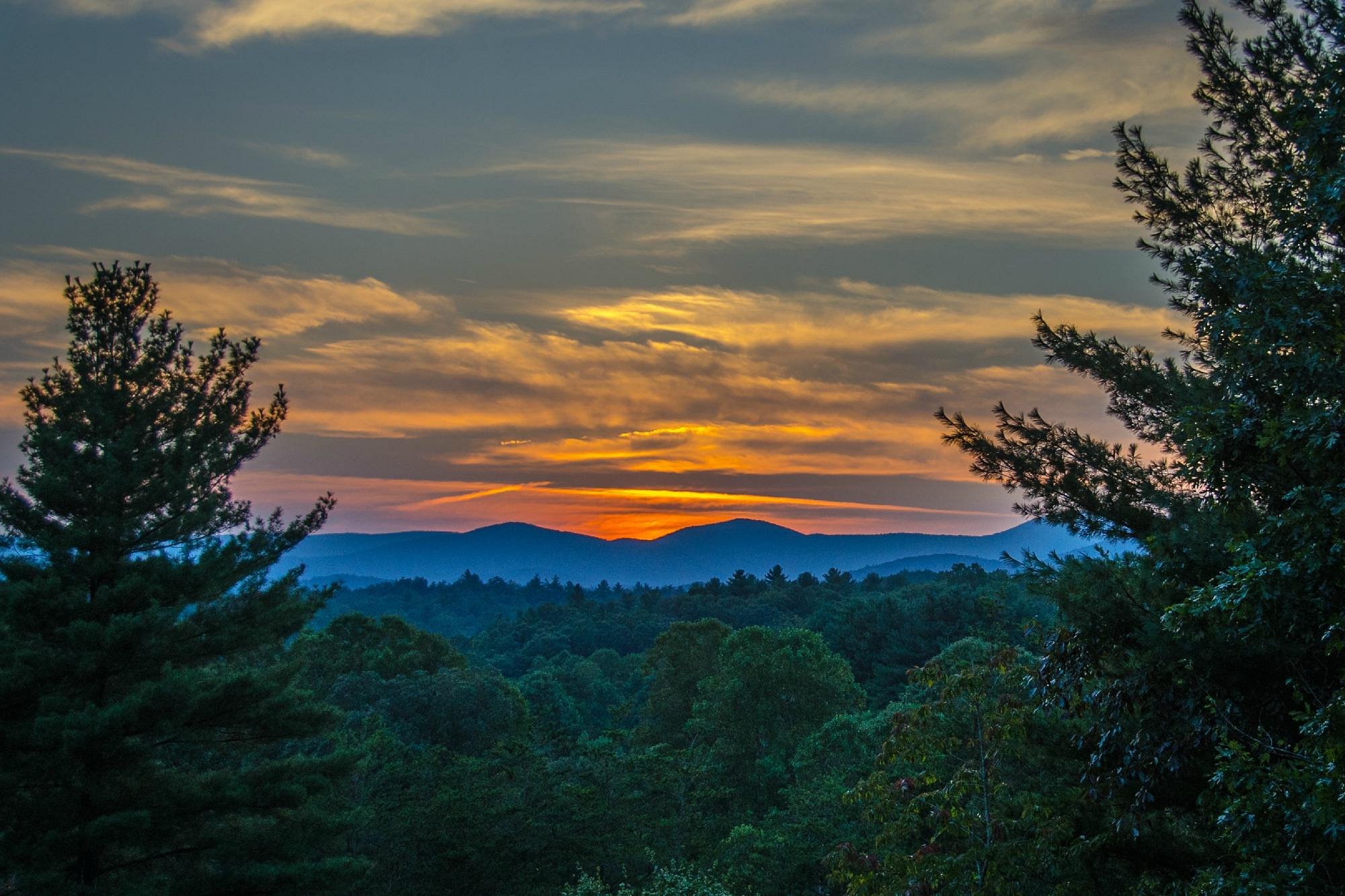 LONG MOUNTAIN LODGE (Dahlonega, GA): opiniones, comparación de precios