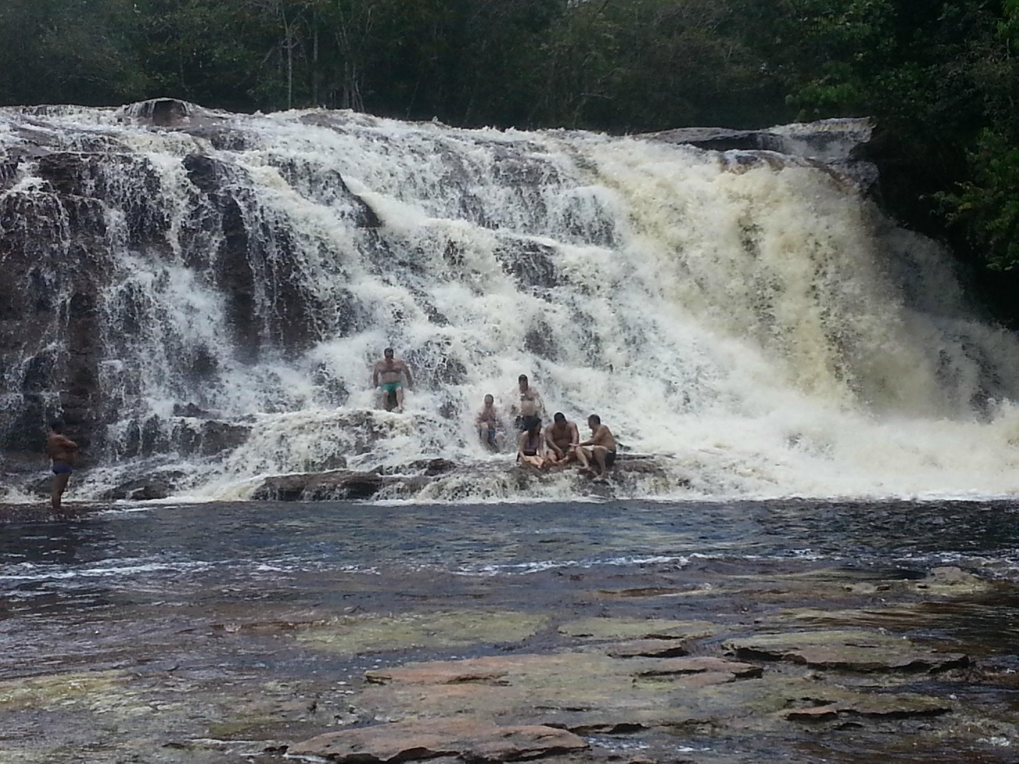 AMAZONAS DAY TOUR (Manaus): Ce Qu'il Faut Savoir Pour Votre Visite ...