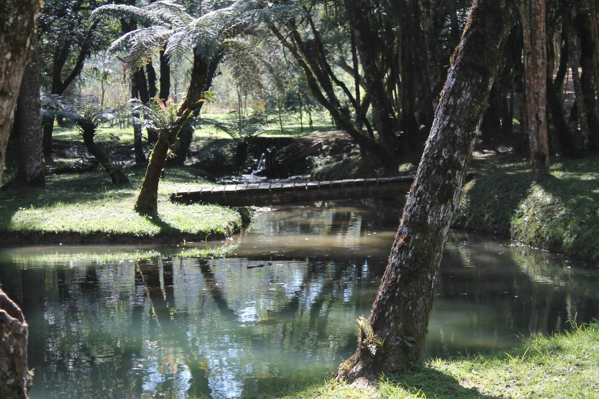 Parque Estadual de Campinhos (Tunas do Paraná) - ATUALIZADO 2023 O que  saber antes de ir - Sobre o que as pessoas estão falando - Tripadvisor