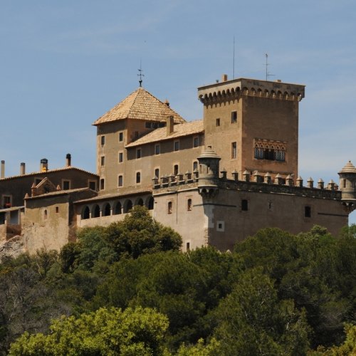 Castell de Riudabella image