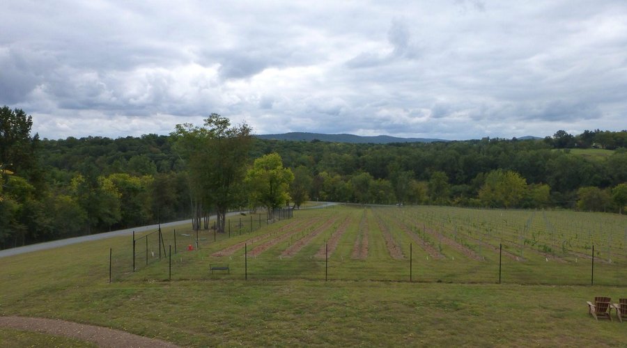 Looking out over the Virginia Countryside