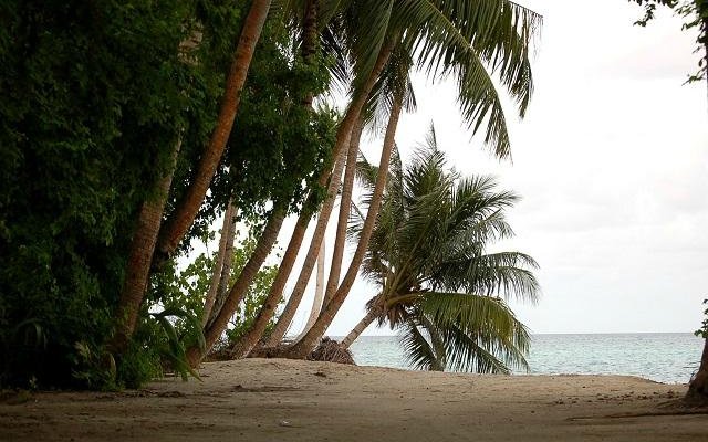 Island