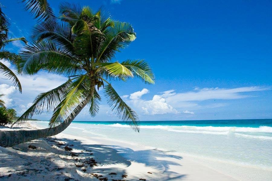 OLAS TULUM $169 ($̶2̶9̶4̶) - Updated 2024 Prices & Hotel Reviews - Mexico