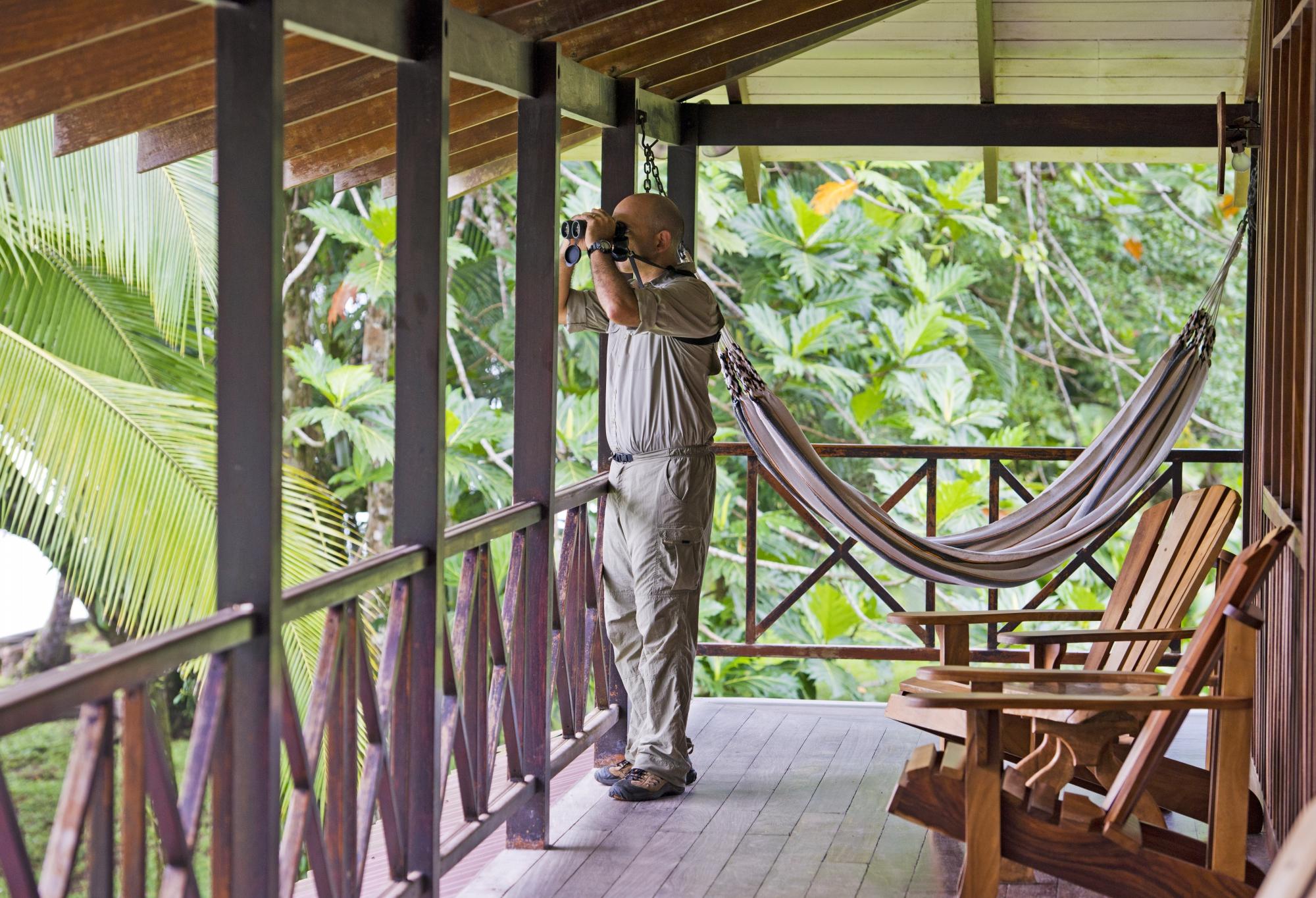 Hotel photo 34 of Tortuga Lodge & Gardens.