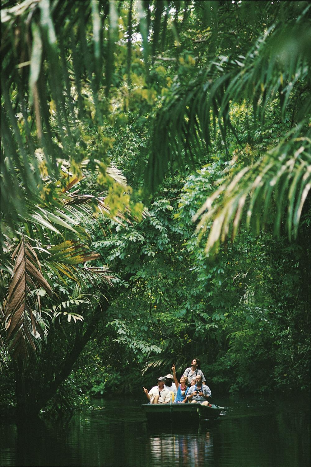 Hotel photo 43 of Tortuga Lodge & Gardens.