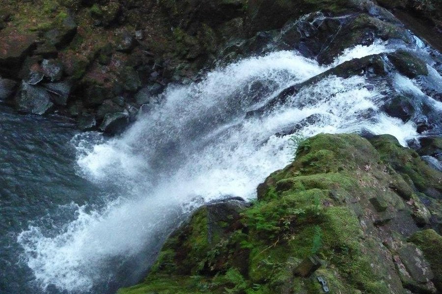 McDowell Creek Falls image