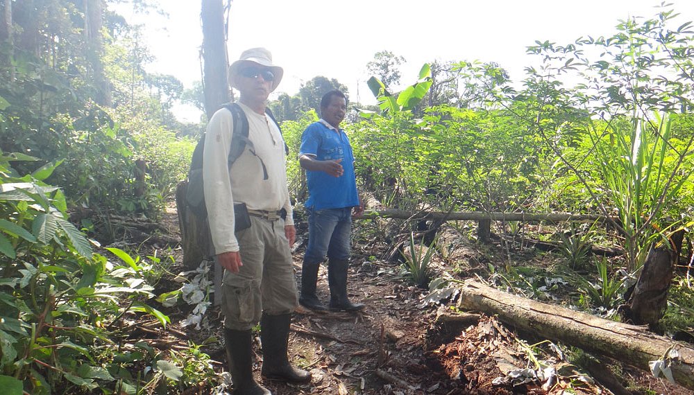 Amazonas Jungle Tours Operator Leticia Atualizado 2023 O Que Saber Antes De Ir Sobre O Que 6827