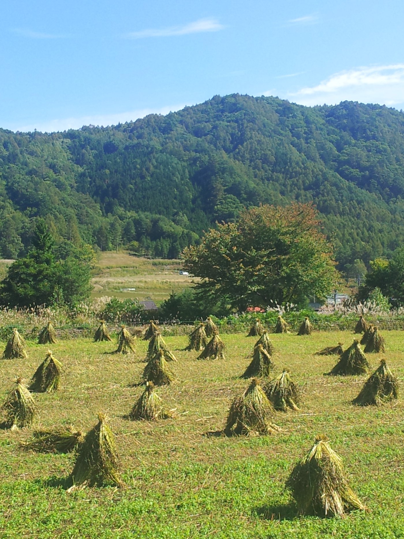 YAMAKA NO YU (KISO-MACHI, JAPÃO): 41 fotos, comparação de preços e ...