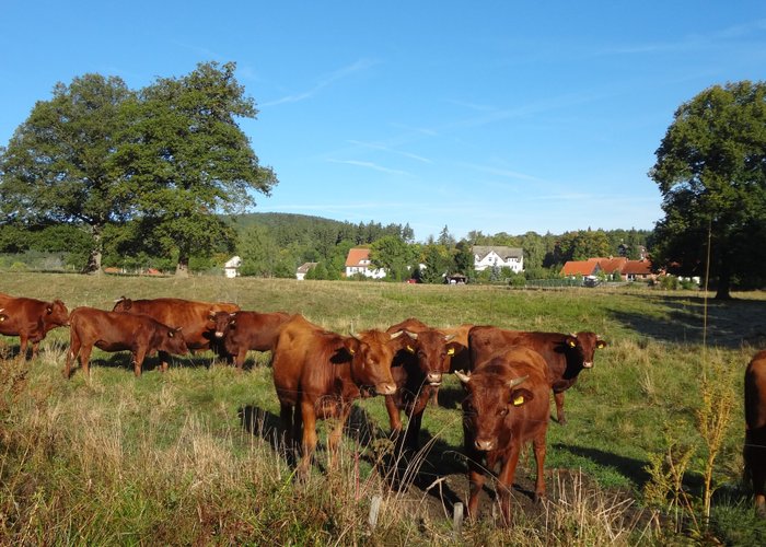 Elend 2021: Best of Elend, Germany Tourism - Tripadvisor