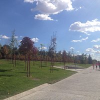 Arboles aun creciendo.