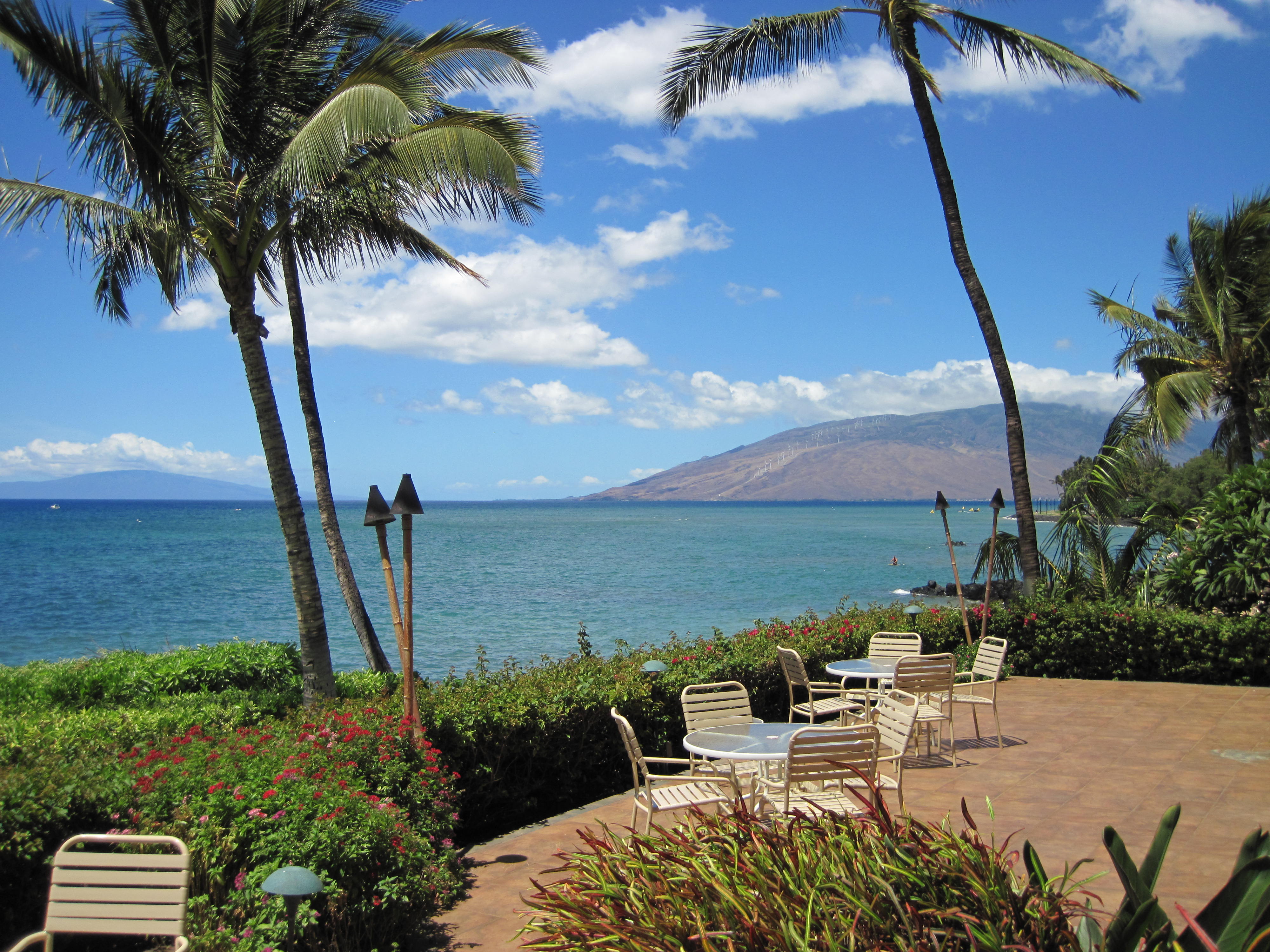 Punahoa Beach Condominiums Maui: Your Ultimate Guide to Paradise