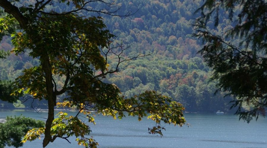 View of the Lake