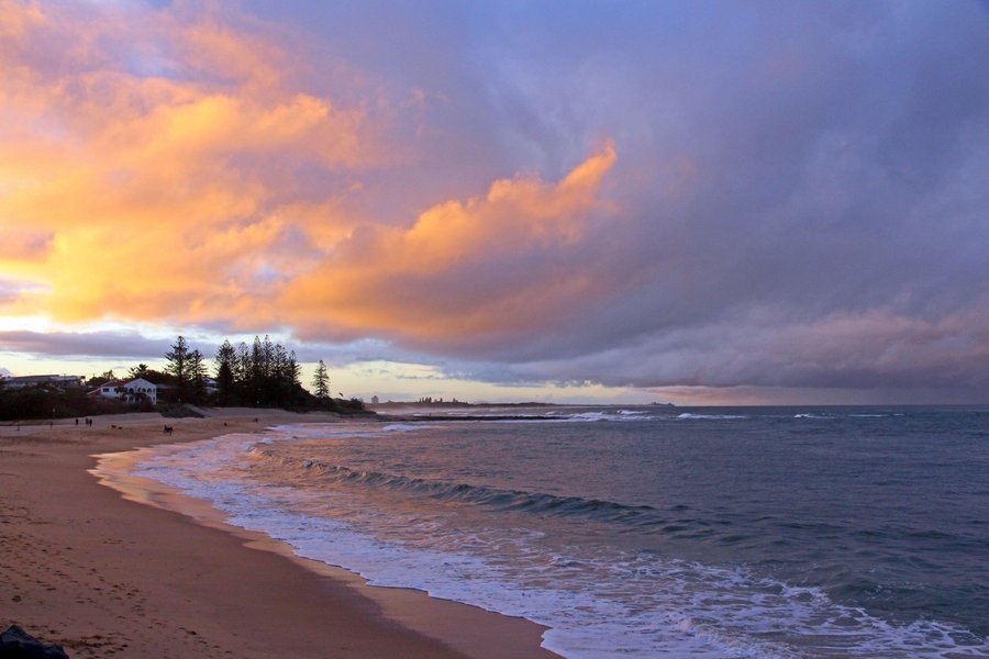 Norfolks On Moffat Beach Pool Pictures Reviews Tripadvisor