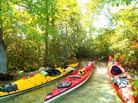 A Summer Evening - Boating on Big Squam – Insider Tips for a Squam