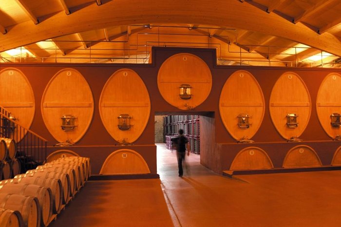 Imagen 5 de Bodegas y Viñedos Gómez Cruzado