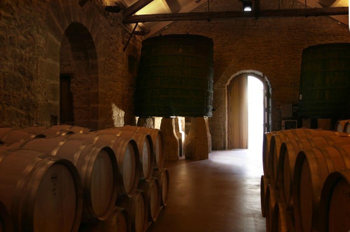 Imagen 4 de Bodegas y Viñedos Gómez Cruzado