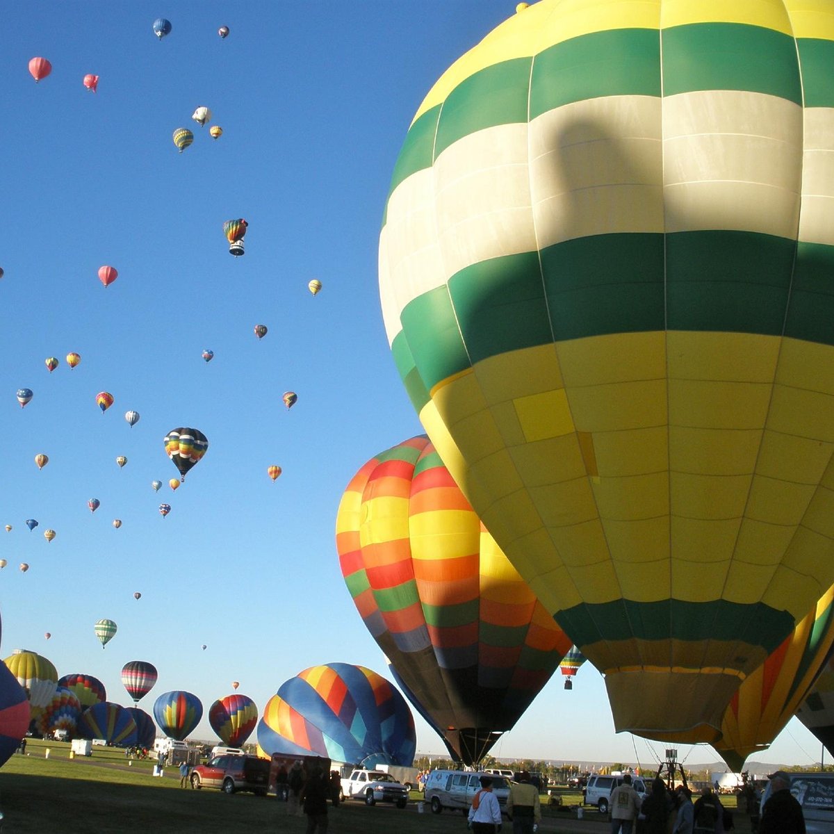 Has Anyone Seen My Balloon? Tours - All You Need to Know BEFORE You Go ...