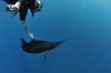 Oceanic7