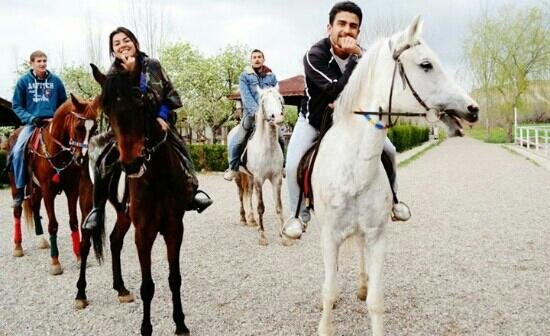 Akhal-teke de guzel bir gezinti