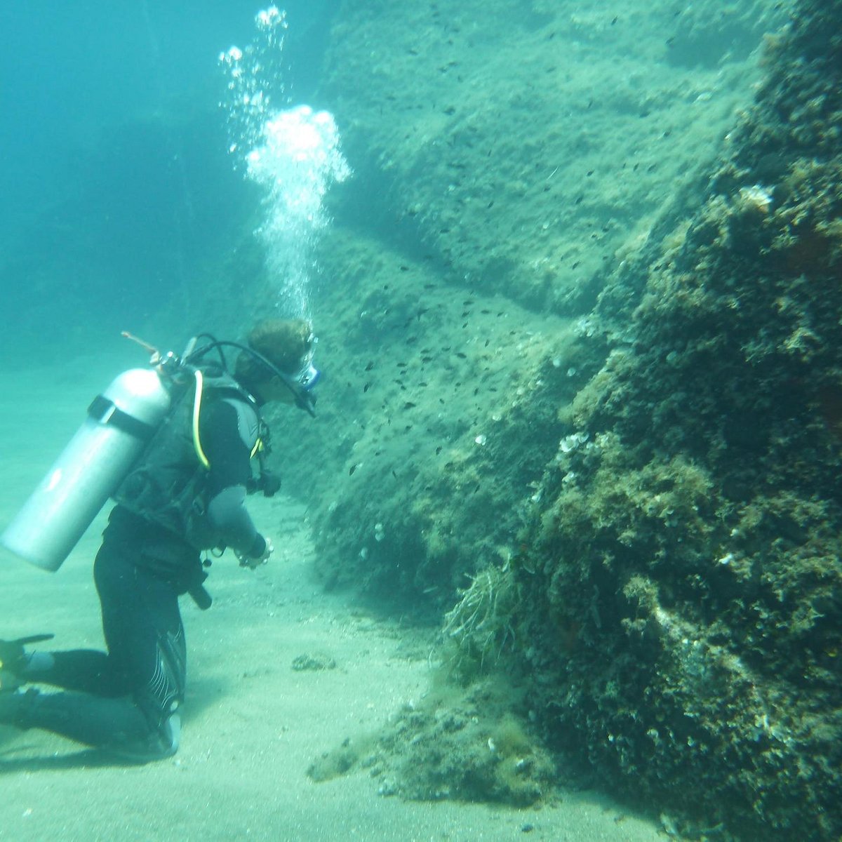 Dive rock. Скала Ришелье дайвинг.