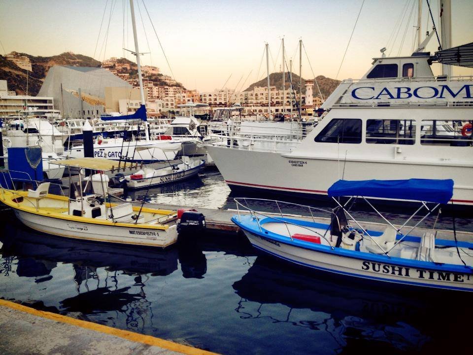 Sushi Time Sport Fishing (Cabo San Lucas) All You Need to Know BEFORE