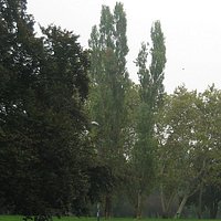 da via Pusiano/Rovato