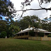 Beautiful grounds, and maybe a koala in a tree!
