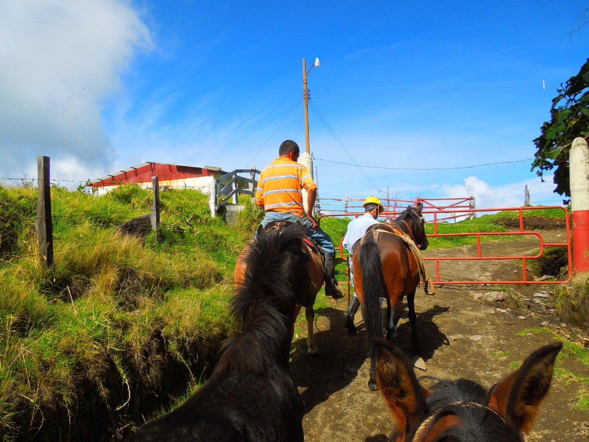 VOLCAN TURRIALBA LODGE (Турриальба) - отзывы и фото - Tripadvisor