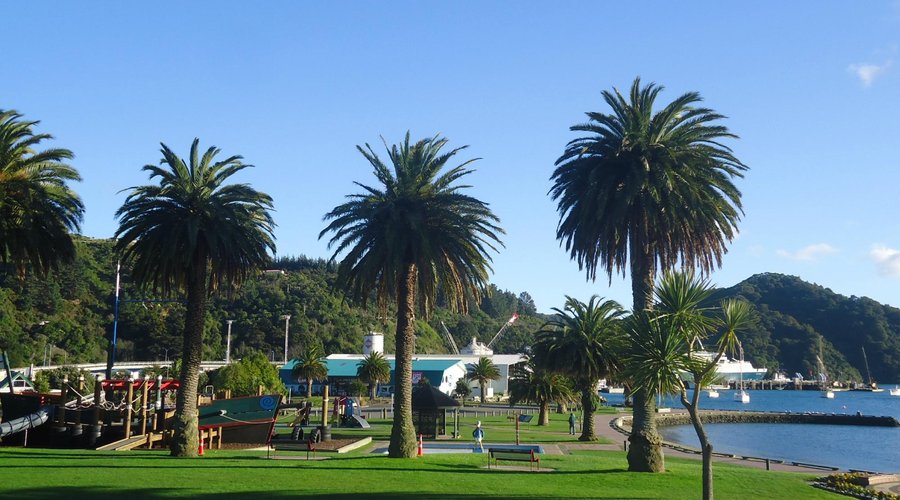 Fiji or Picton? There's not alot of difference, this is a minutes walk from your room