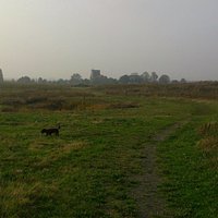 Country Park late summer.