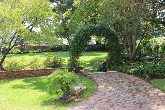 Outdoor garden area