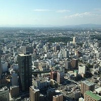 浜松城