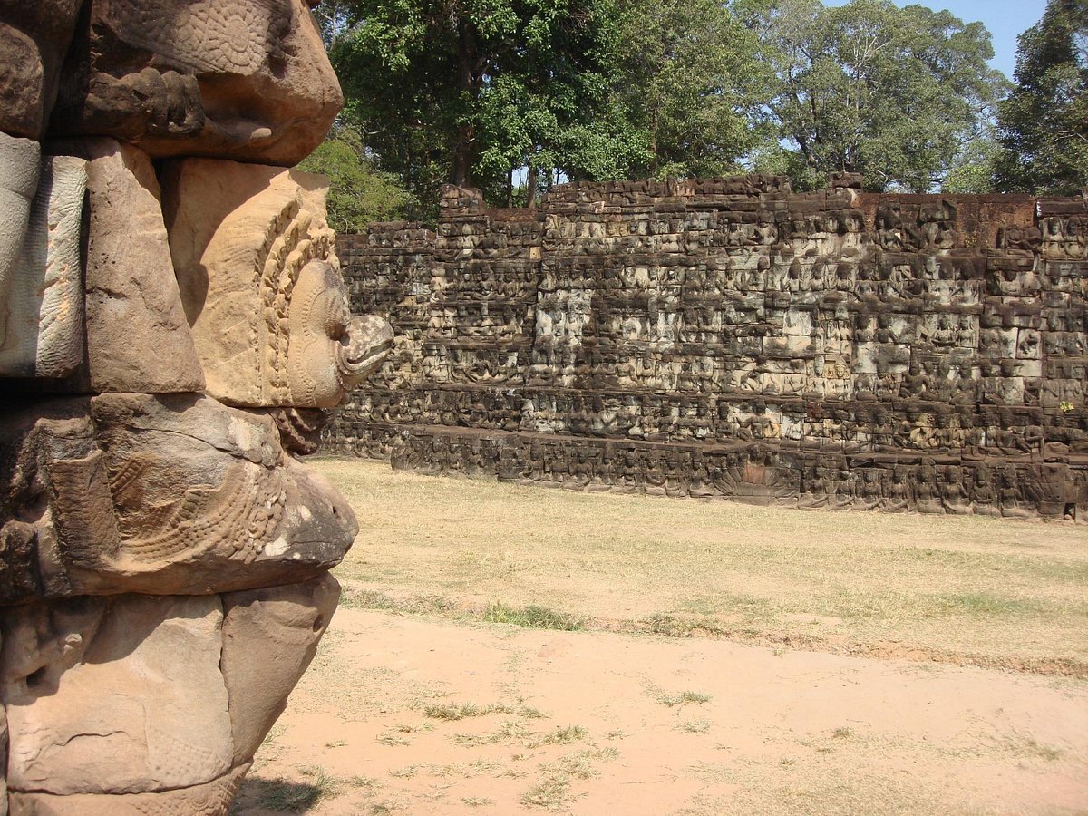 tourist guide association cambodia