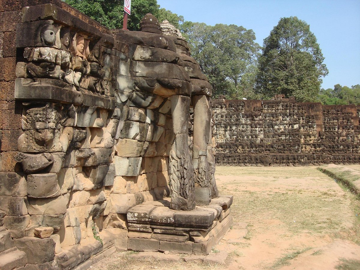 tourist guide association cambodia