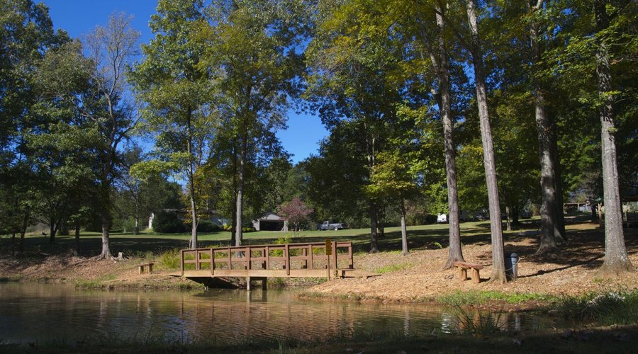 Fishing Pond