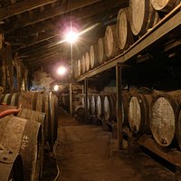 Cellar