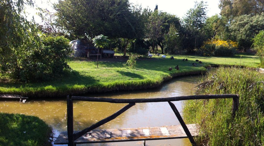 Stagno