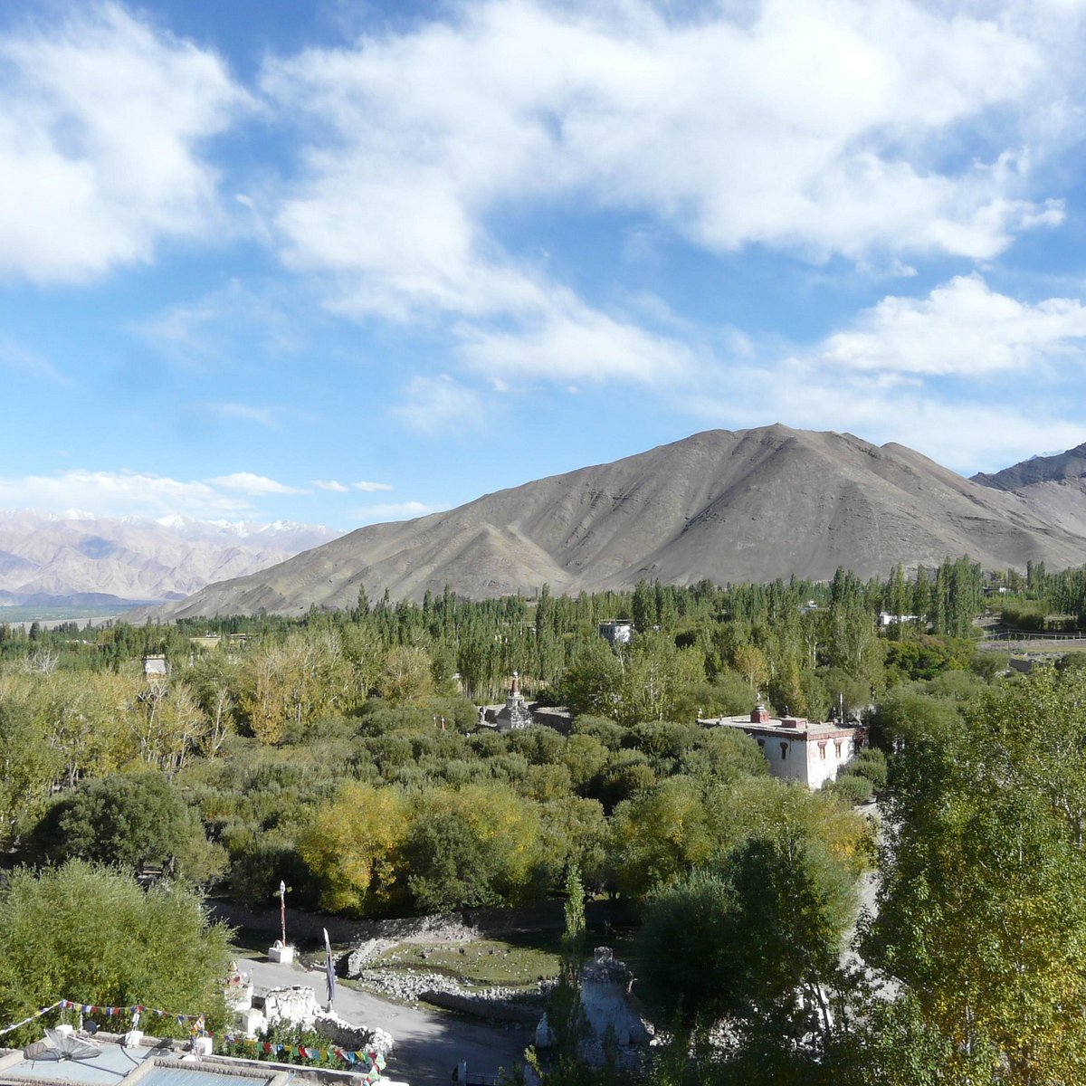 Stok Palace Leh  Popular Tourist Attraction in Ladakh