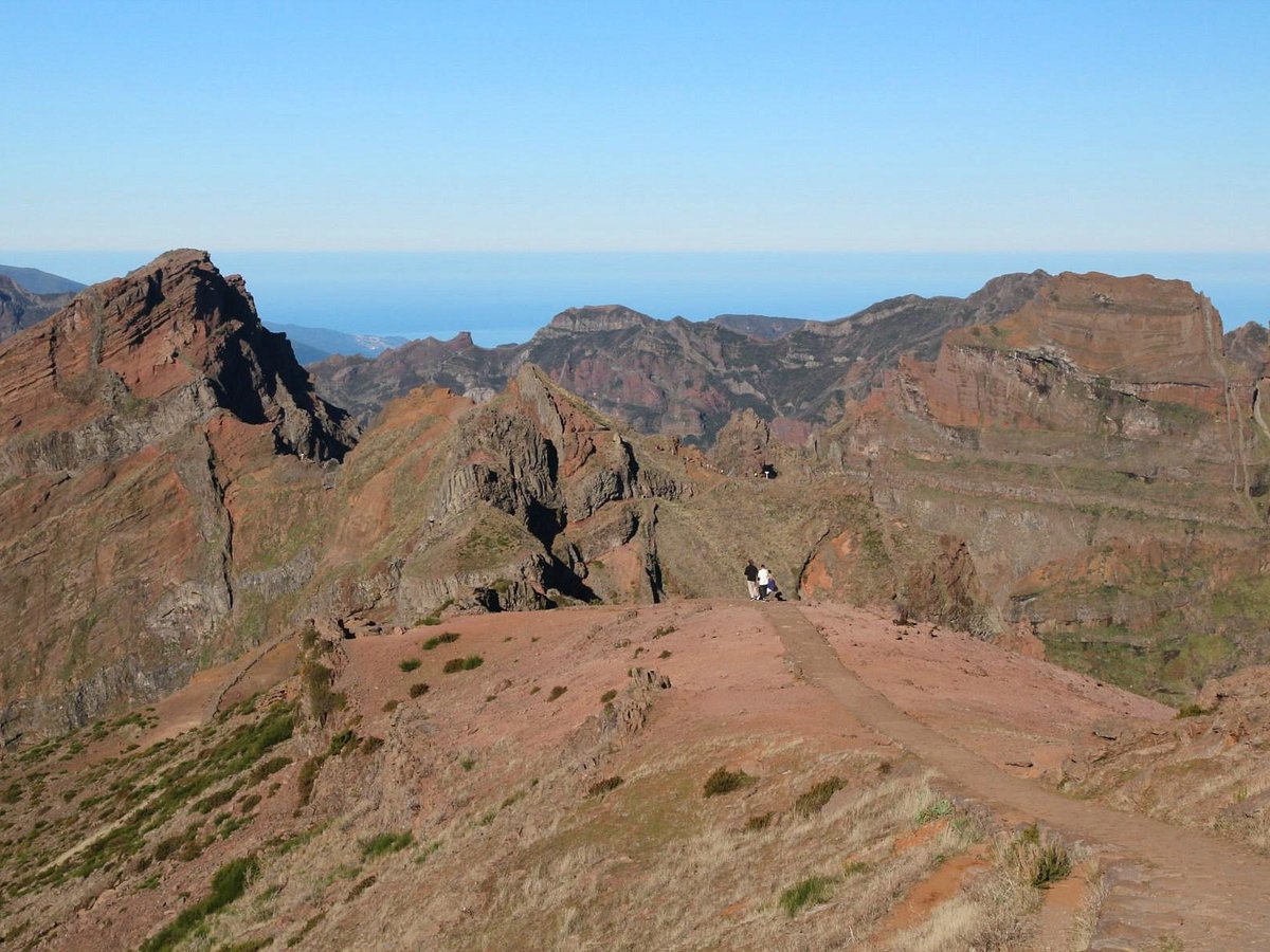 madeira sunrise tours reviews